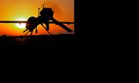 Nouvelle campagne dessais pour le drone Gray Eagle de lUS Army