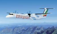Adossée à Ethiopian Airlines, Zambia Airways décollera en septembre après 27 ans de léthargie