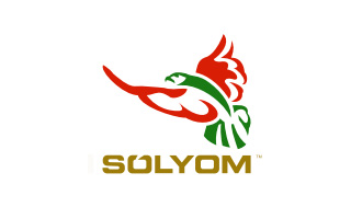 Slyom Airways veut simposer en Hongrie