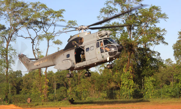 Les ailes de la mission Harpie en Guyane