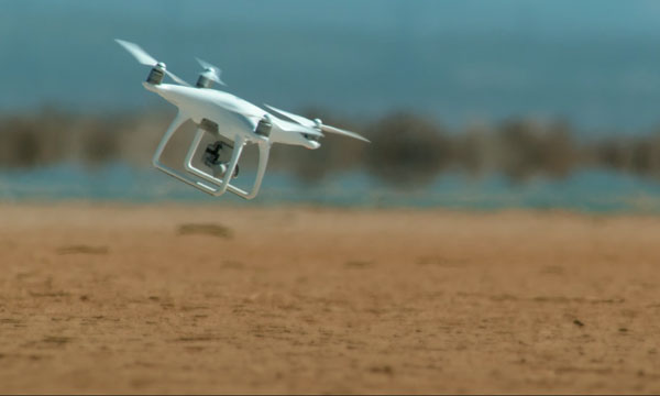 La France s'attaque aux drones pigs