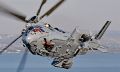 Les Emirats arabes unis commandent douze Caracal à Airbus Helicopters
