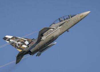 Copyright Daniel Trippolt